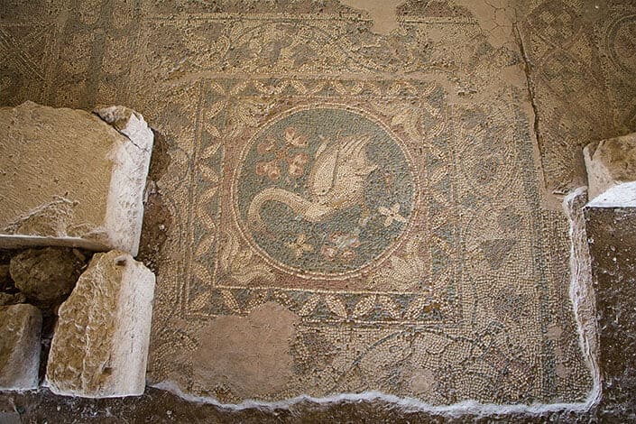 4th century AD ‘Swan Mosaic’ at the Soli Basilica
