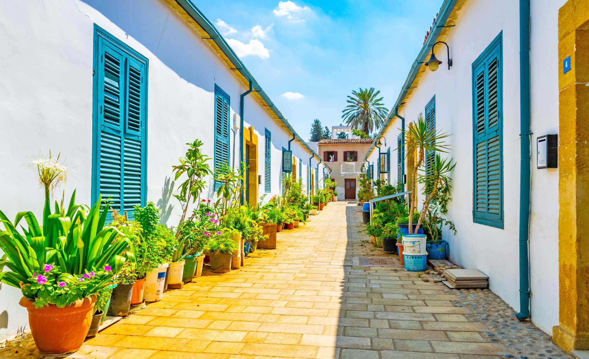 Explore Nicosia city walls with your knowledgeable Tour Guide