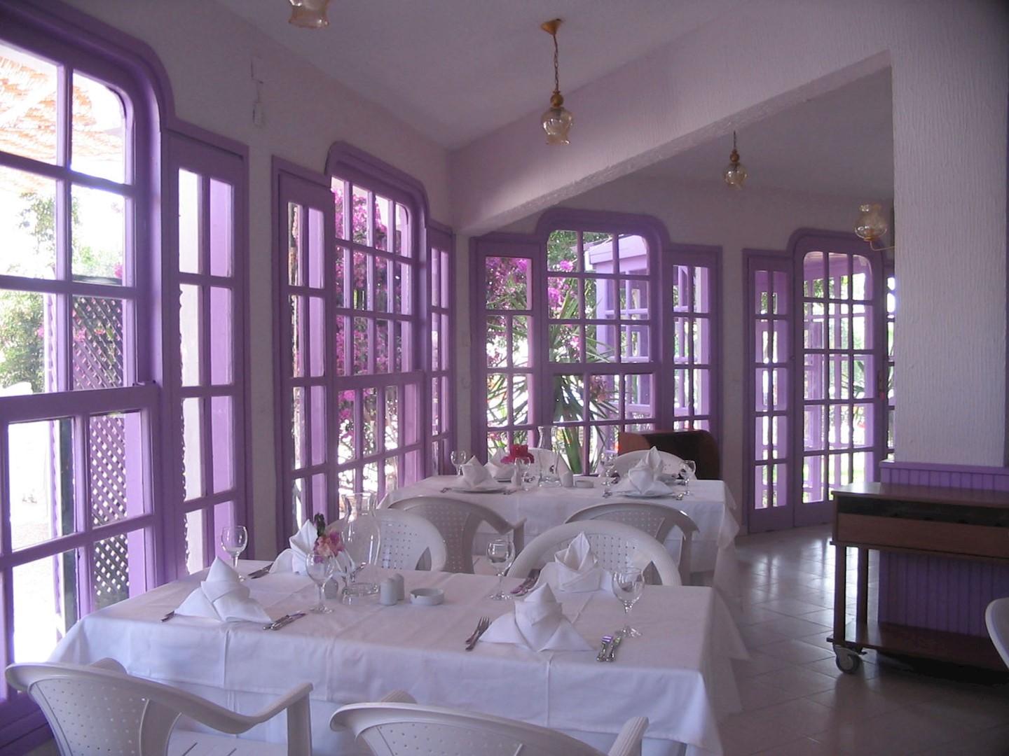 Dine amidst the flora 