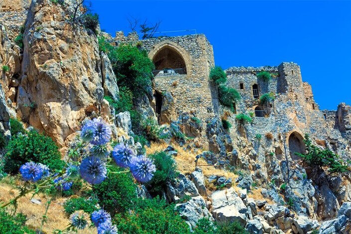 St. Hilarion Cabbages Along the Mountainside