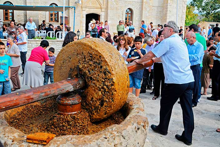 The Olive Festival, Zeytinlik Village