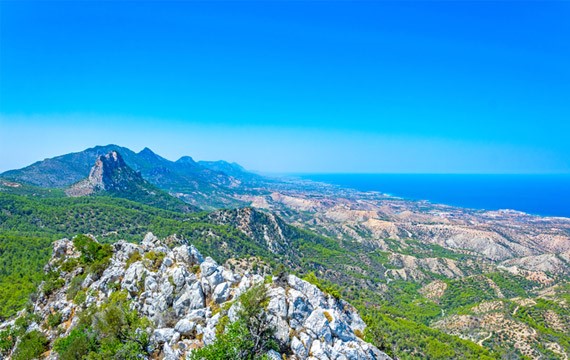 cyprees pine trees landscapes north cyprus