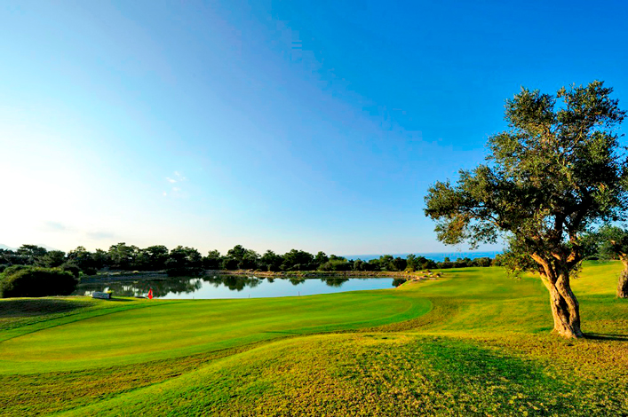 Paspalum Golf Course Ground North Cyprus