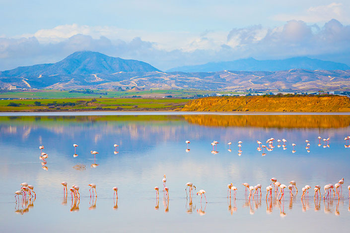 Salt Lake Larnaca, Cyprus