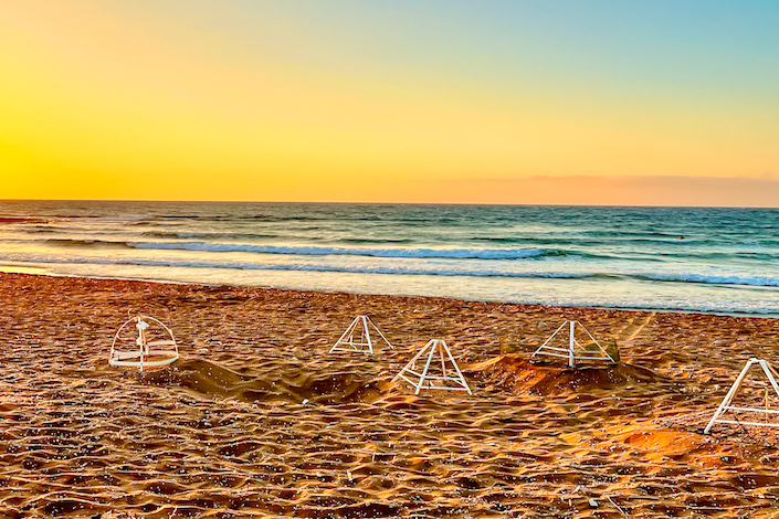 Alagadi Beach Turtle's Spot, North Cyprus