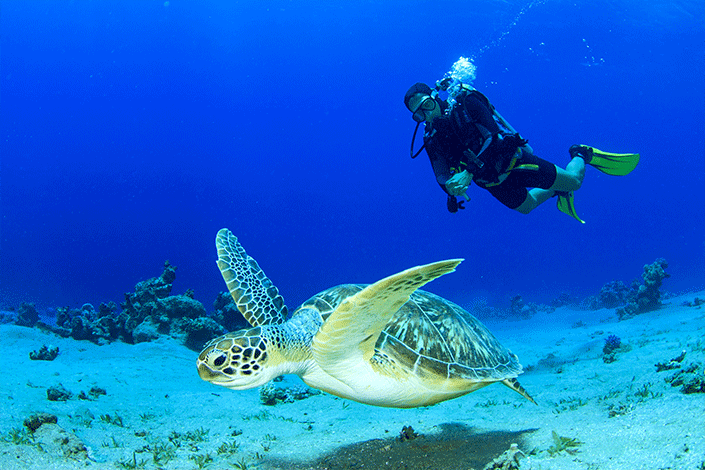 Scuba Diving, North Cyprus