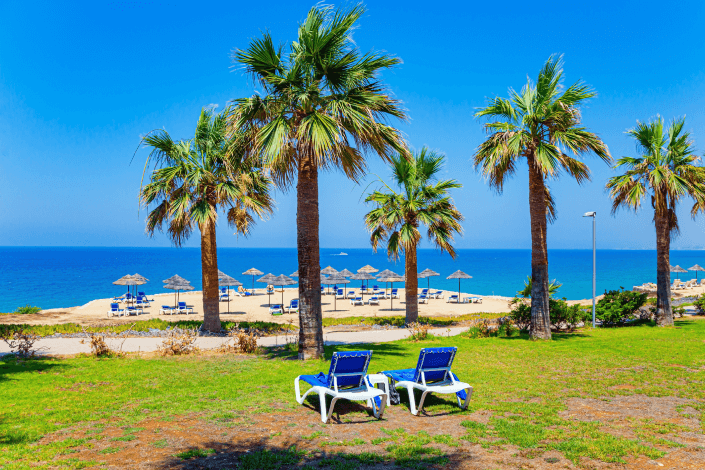 A Sunny Day in South Cyprus