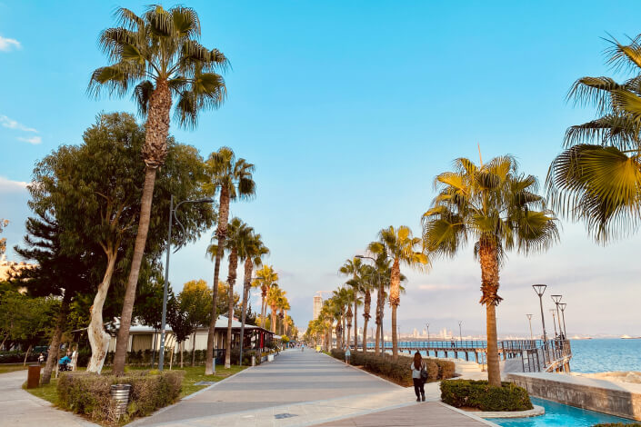 Palm Tree Alley, Limassol, Cyprus