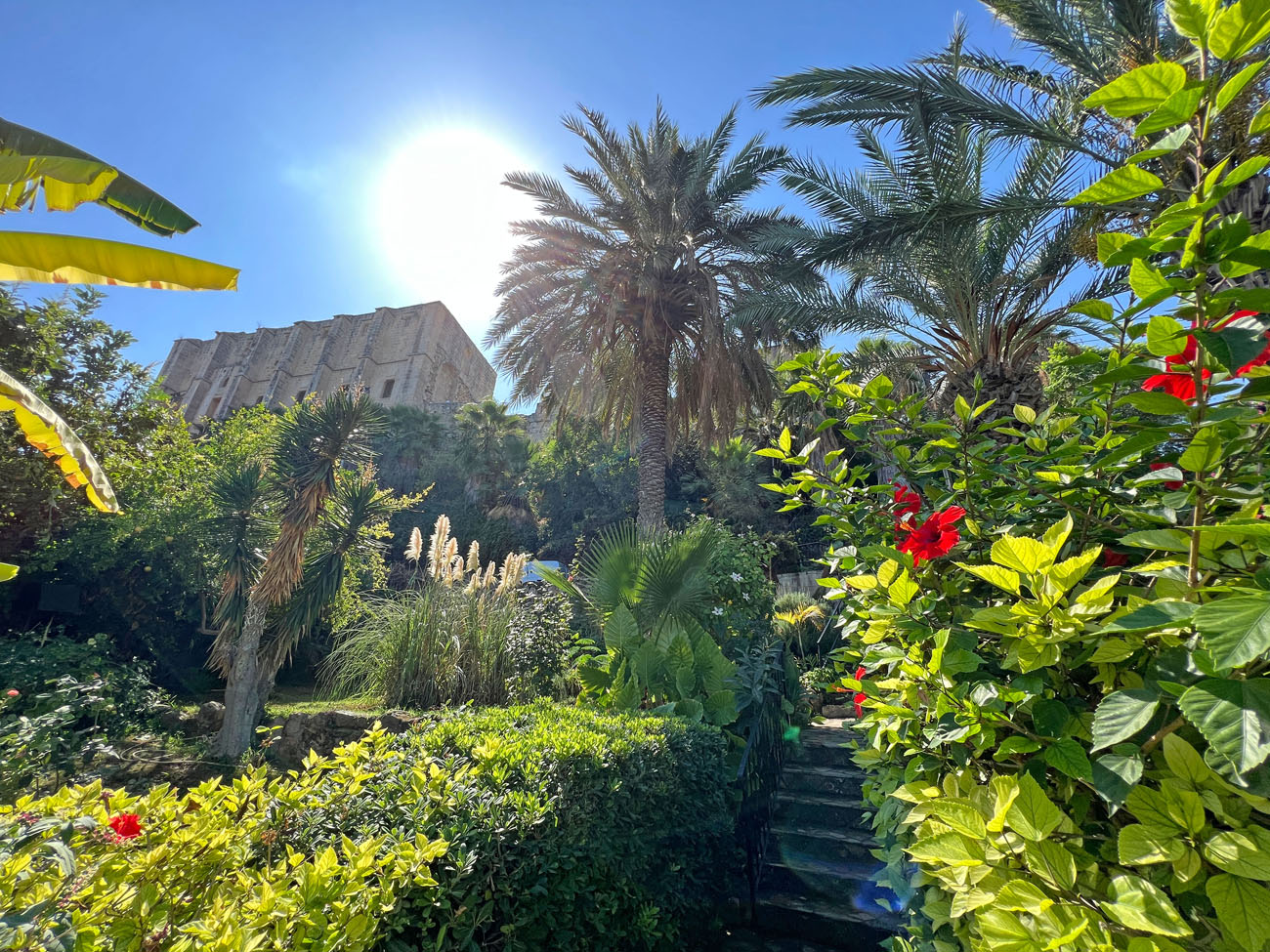 51 bellapais gardens restaurent sitting kyrenia