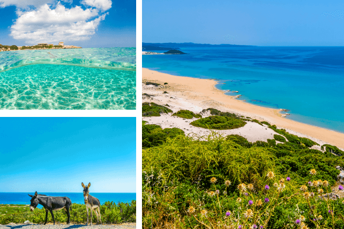 Golden Sandy Beach, Karpaz Peninsula