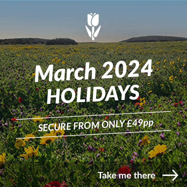 Book Cyprus Paradise Deals for North Cyprus Holidays & Packages in 2024