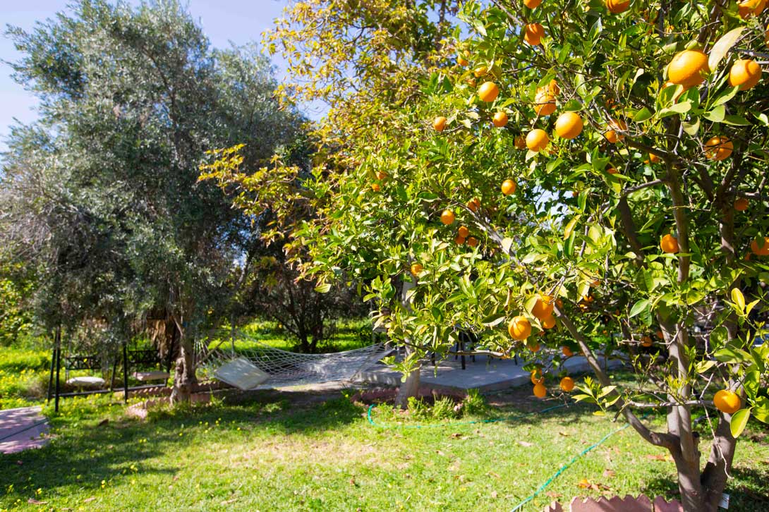 cheap resort hotels to Spend holiday with family