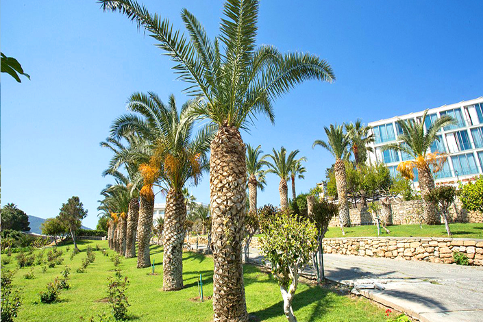 Tranquil Gardens at the 4* Denizkizi Hotel, North Cyprus