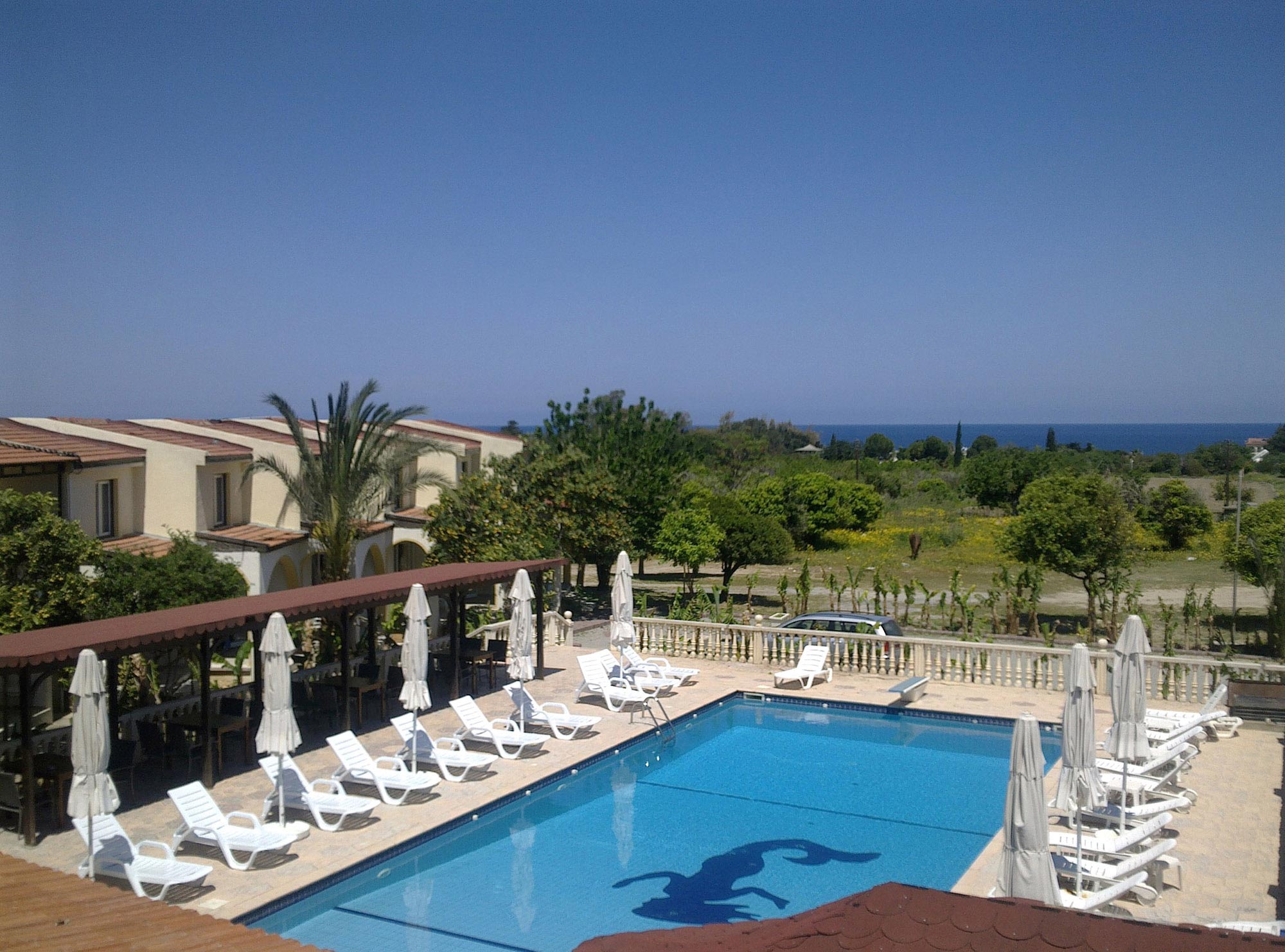 A pool of peace…