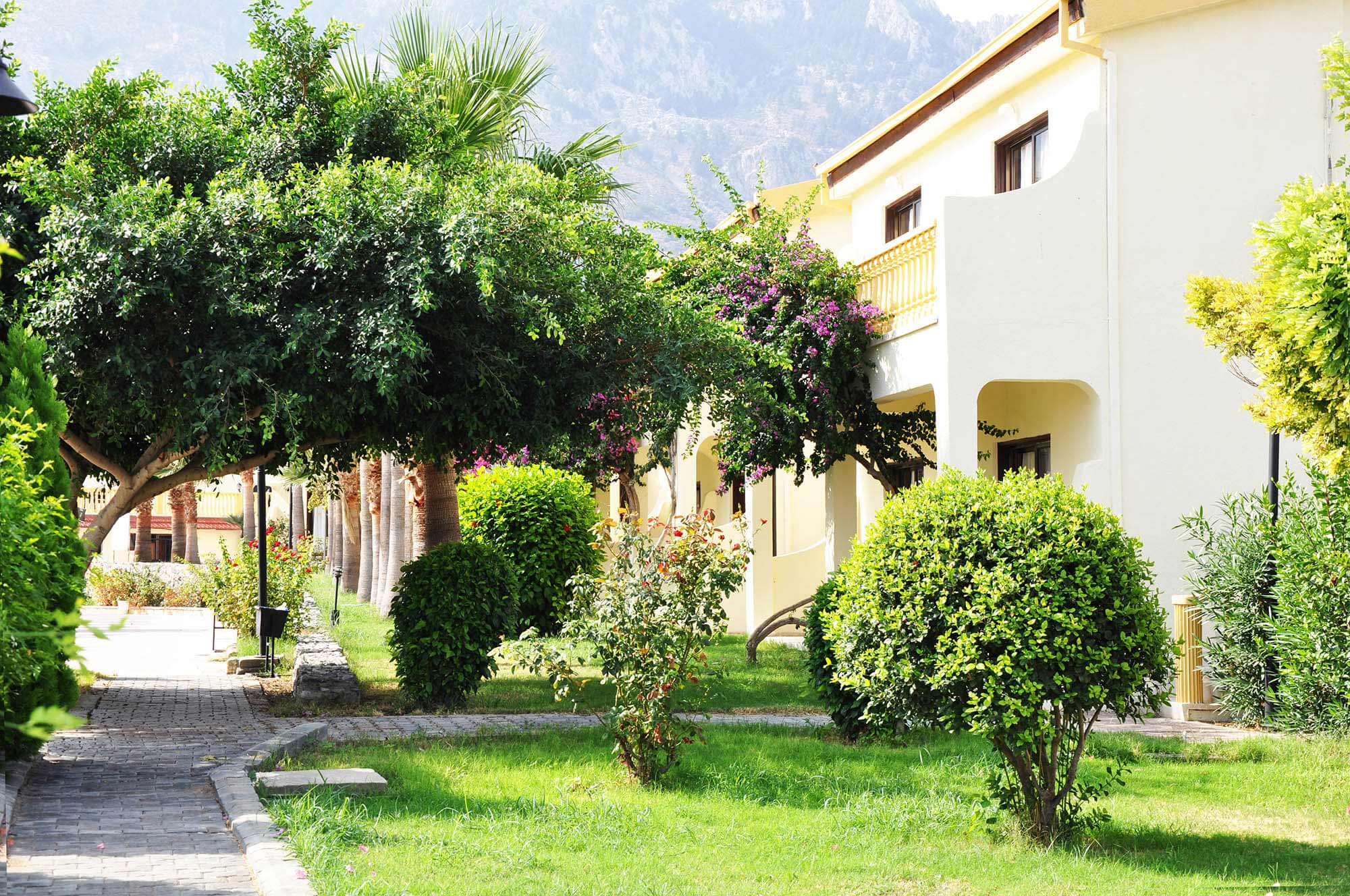 cheap resort hotels to Spend holiday with family