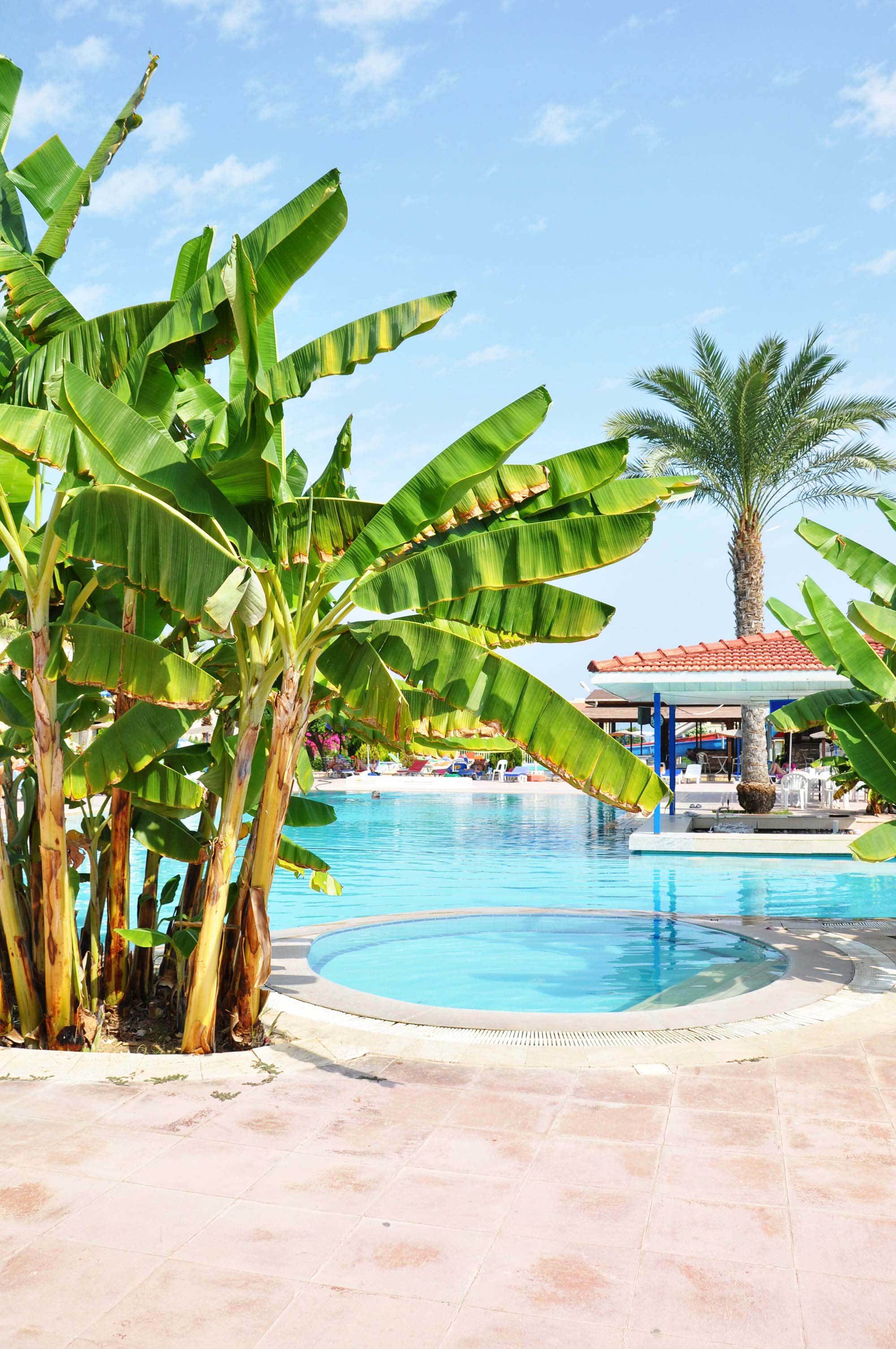 cheap resort hotels to Spend holiday with family