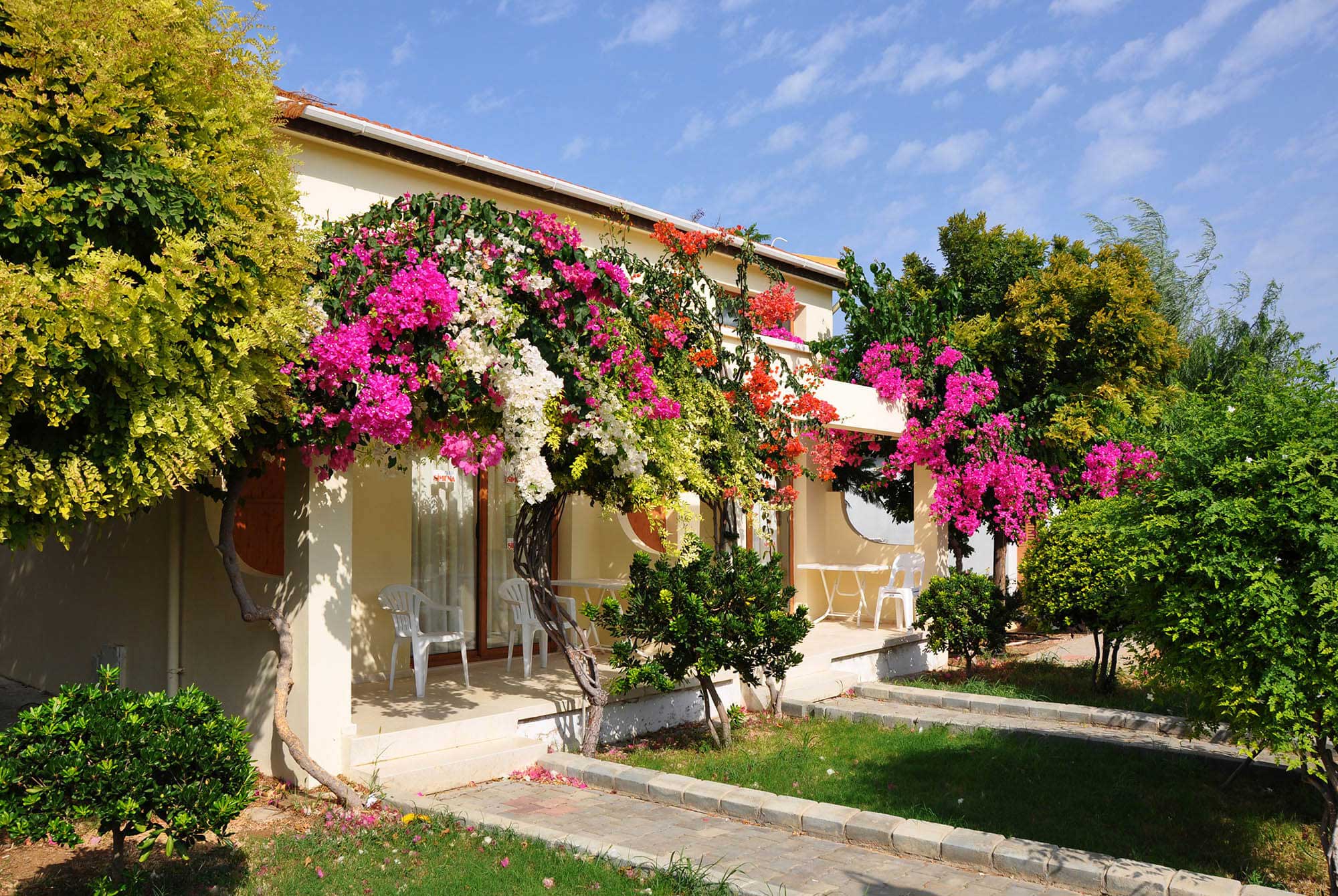 cheap resort hotels to Spend holiday with family