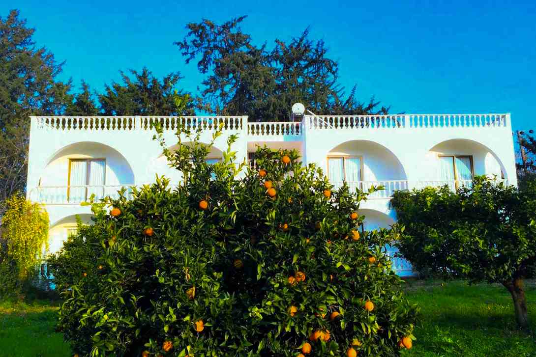 villa club fruit trees north cyprus