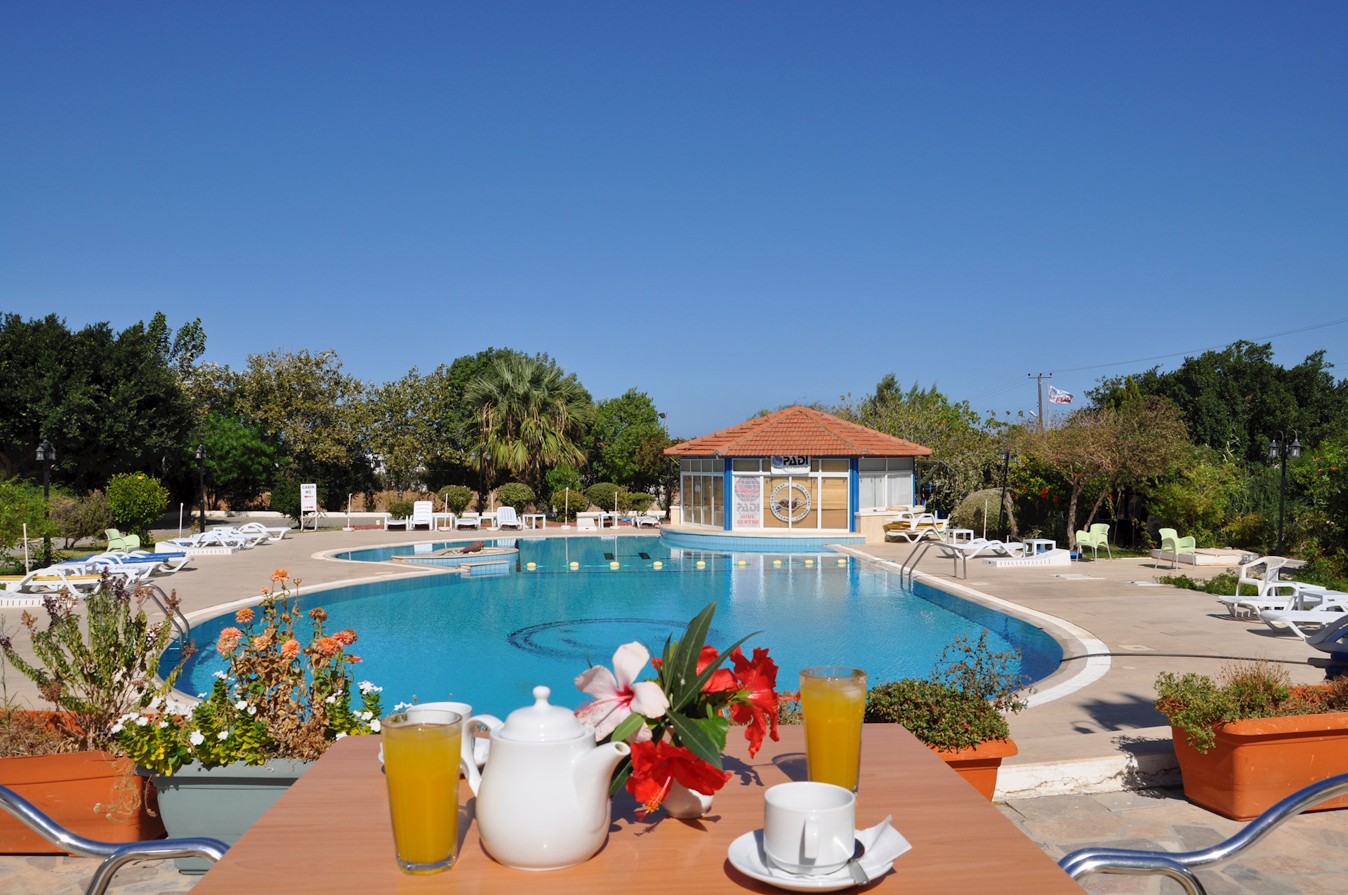 Enjoy the Charming Bar