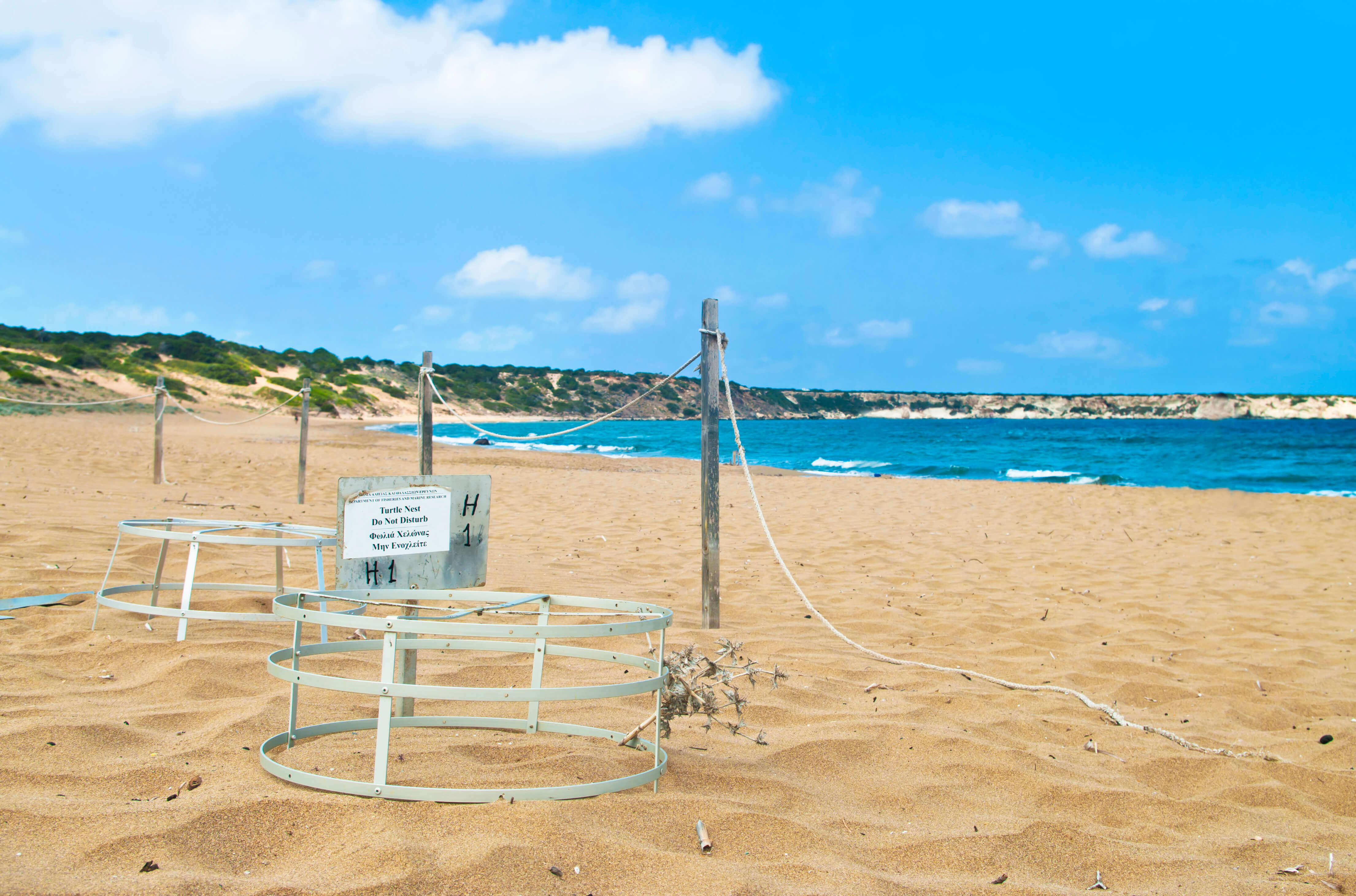 SPOT Turtle Nest Protection Cages, Alagadi Beach