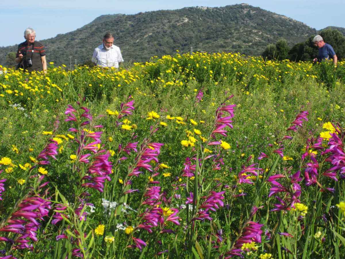 Guided nature walks
