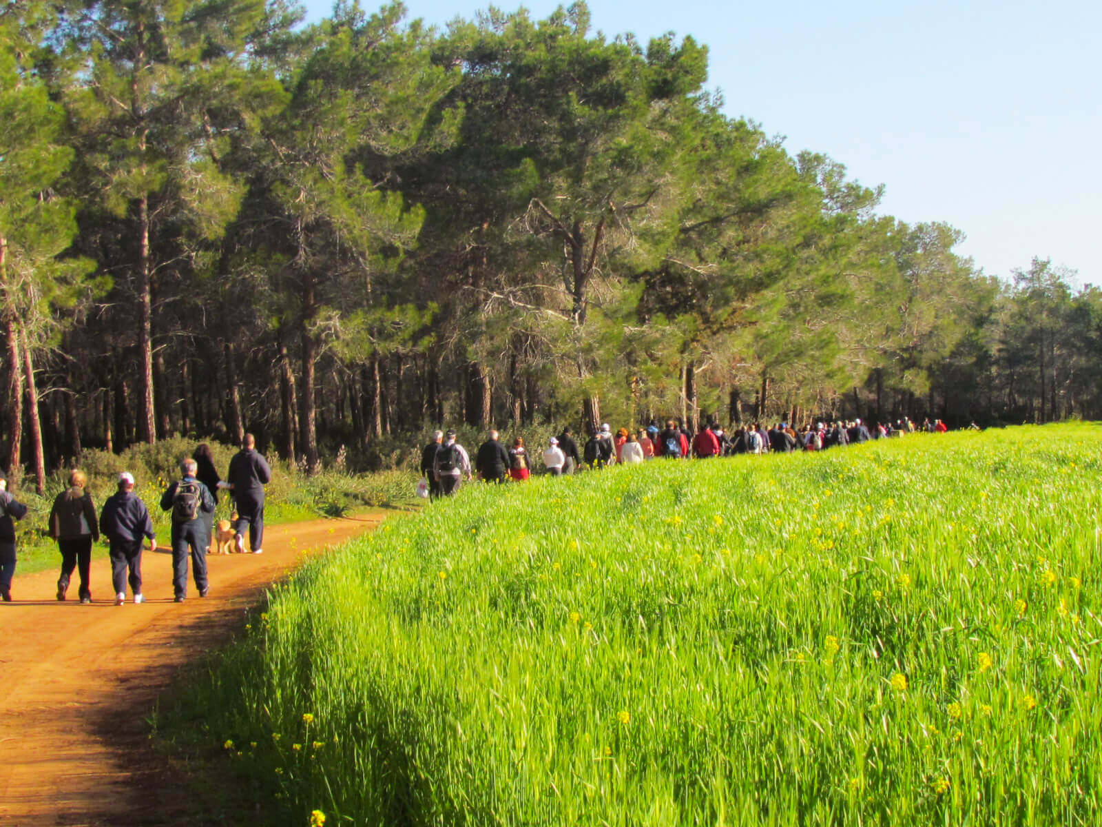 De Nicósia: viagem diurna para Famagusta e Kyrenia Circle