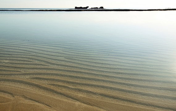 arkin palm beach hotel cyprus seaside