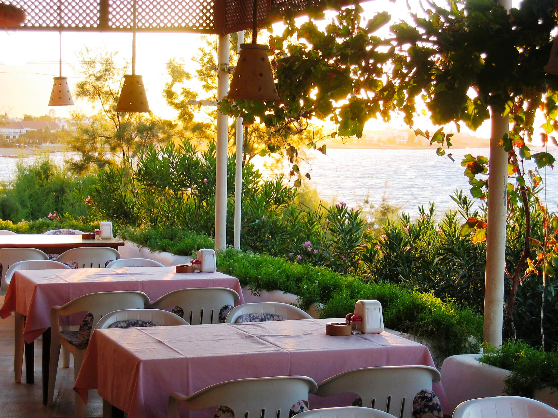 Dine Cypriot Style!